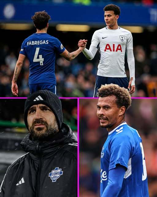 英媒:阿里不在科莫计划之内 29岁的他准备考虑退役了